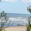 Medanos - Playa de Necochea